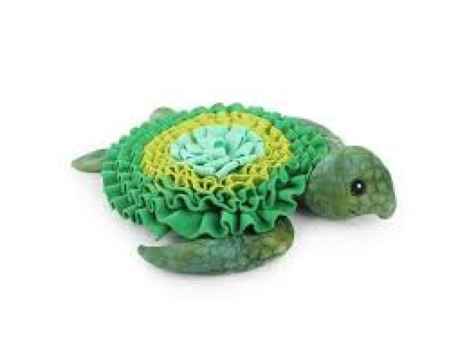 afp-dig-it-treat-mat-meeresschildkrote-143545