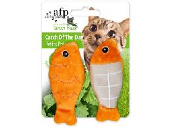 afp-green-rush-catch-of-the-day-143435