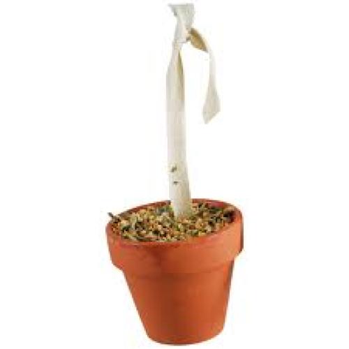 jr-tontopfchen-wellensittich-kanarien-80-g-72213