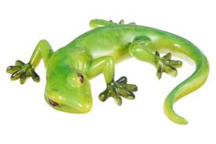 afp-green-rush-gecko-141165