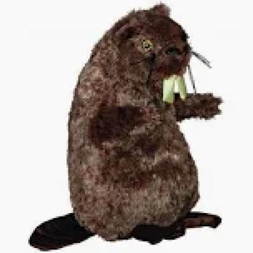 biber-plusch-40cm-65848