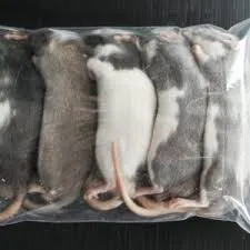 Futterratte klein 60-90g - Frostfutter für Schlangen und Raubtiere
