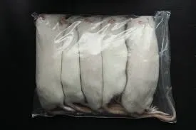 FutterRatte Groß, gefroren 150–200 g – Frostfutter für Schlangen und Raubtiere