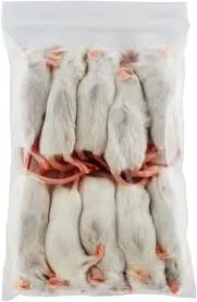 Futtermaus Groß, gefroren über 40 g – Frostfutter für Schlangen und Raubtiere