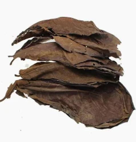 seemandelbaumblatter-fur-aquarium-wasserpflege-fur-zierfische-ca-15-blatter-54878