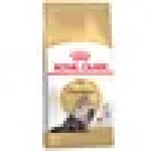 persian-adult-2-kg-trockenfutter-7735