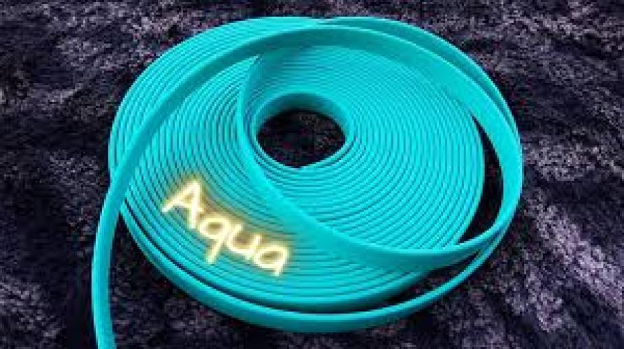 Biothan Schleppleine 3m 20mm aquagrün ohne Handschlaufe