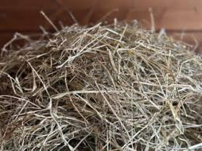 heu-aus-der-ostschweiz-1kg-nagerfutter-aus-region-wil-wiesenheu-53517