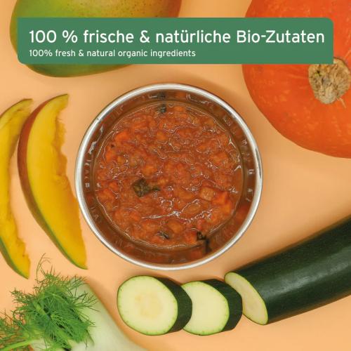 AniForte BARF-Line Bio Barf Püree Fenchel & Mango 14*150g