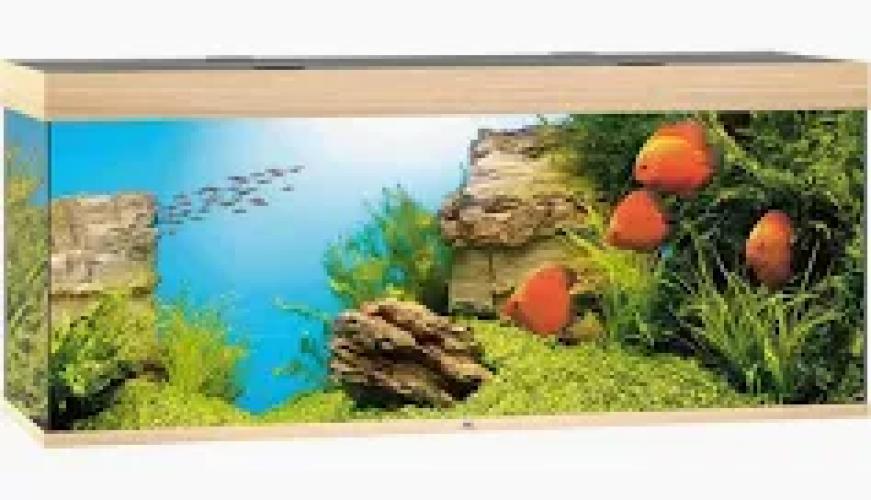 juwel-aquarium-rio-450-led-helles-holz-26474