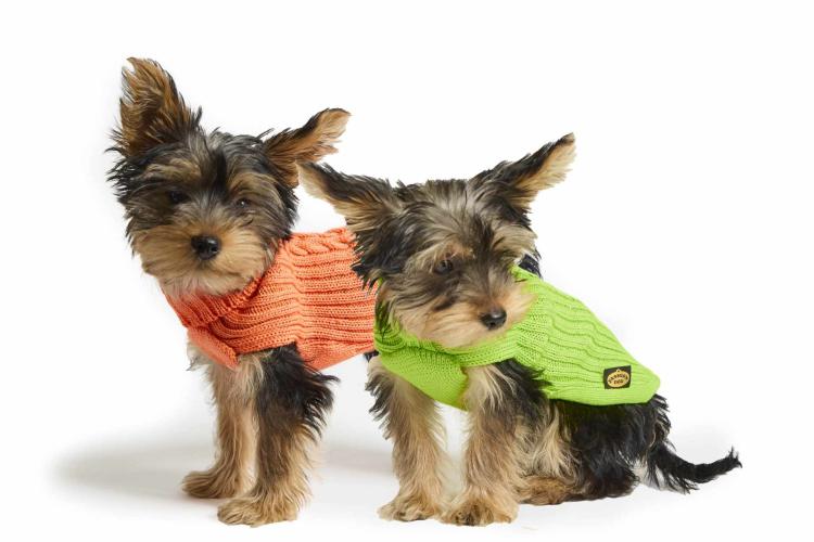 hundestrickpullover-orange-grosse-30-zopf-merinowolle-acryl-fashion-dog-163346