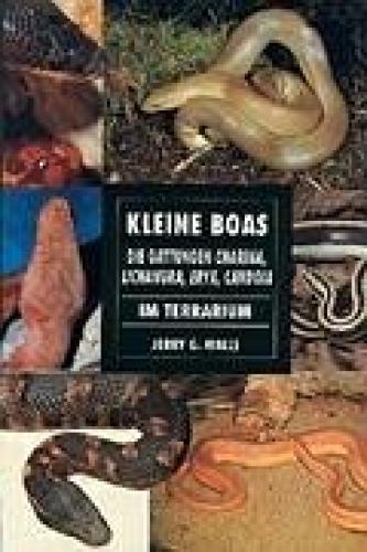 bede-kleine-boas-35966