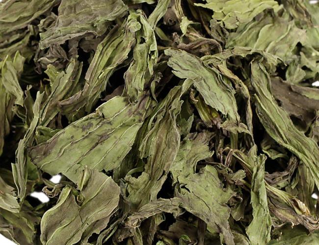 spitzwegerich-50g-163397