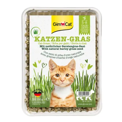 GimCat Katzengras für Katzen 150 g