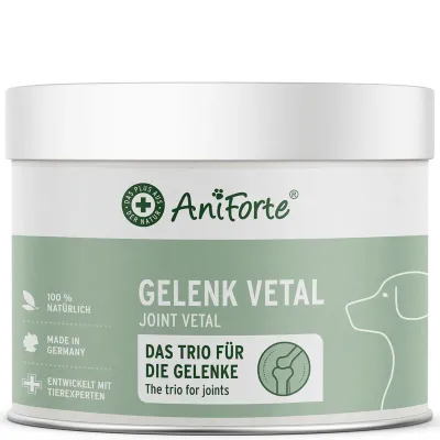 Aniforte Gelenk Vetal