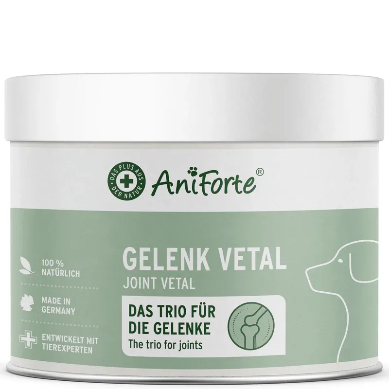 Aniforte Gelenk Vetal