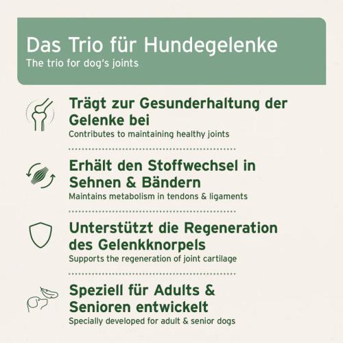 Aniforte joint Vetal