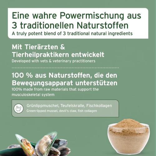 Aniforte joint Vetal