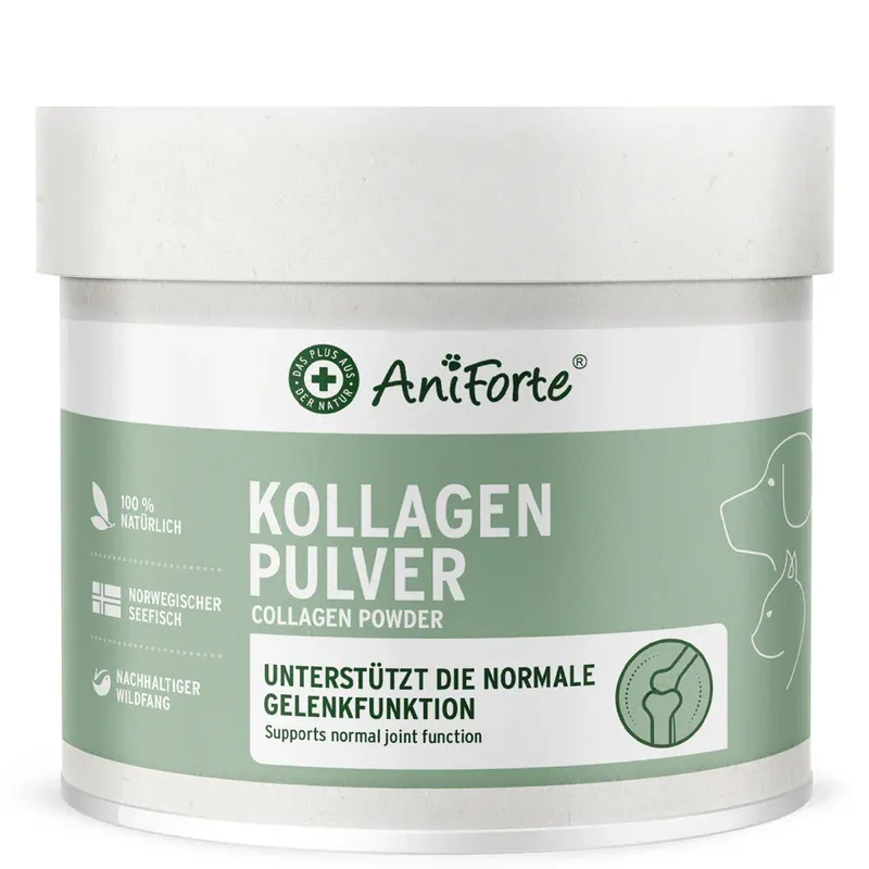 Kollagen Pulver 250g