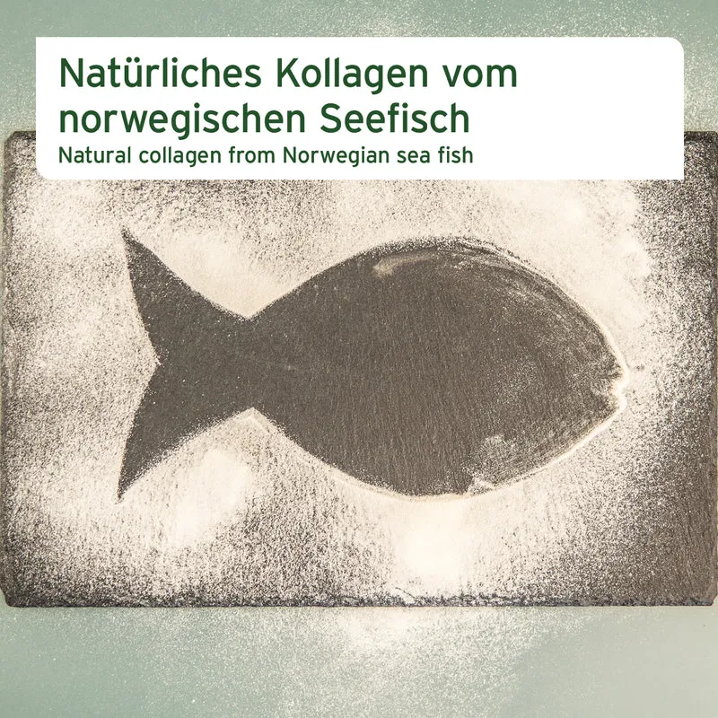 Kollagen Pulver 250g