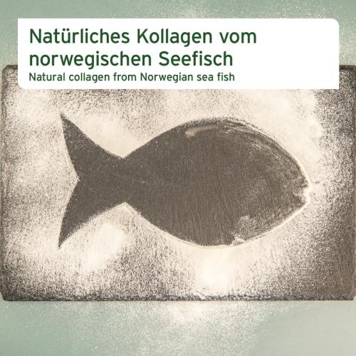 Kollagen Pulver 250g