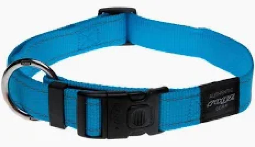 rogz-utility-halsband-fur-hunde-in-turkis-140800