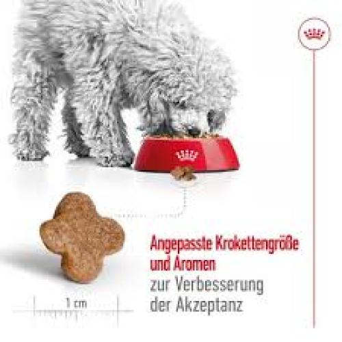Royal Canin Mini Adult 8+ Trockenfutter für Hunde 8 kg