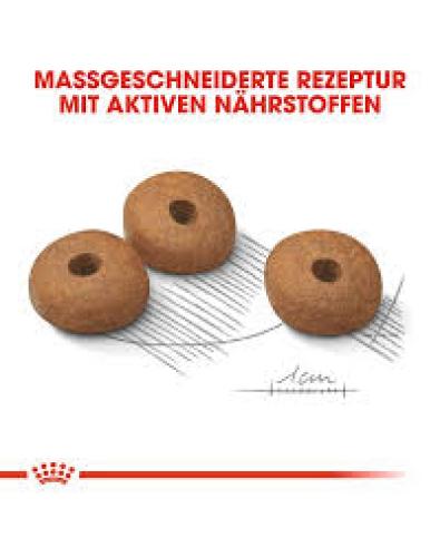 Royal Canin Light Weight Care Mini Trockenfutter 8 kg