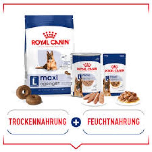 Royal Canin Maxi Adult Trockenfutter für Hunde 12 kg