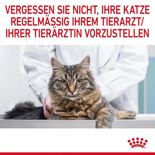 Royal Canin Dental Care Trockenfutter für Katzen 1,5 kg