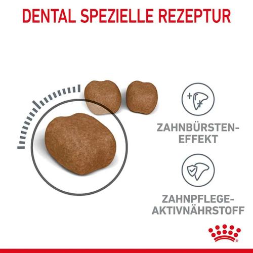 Royal Canin Dental Care Trockenfutter für Katzen 1,5 kg