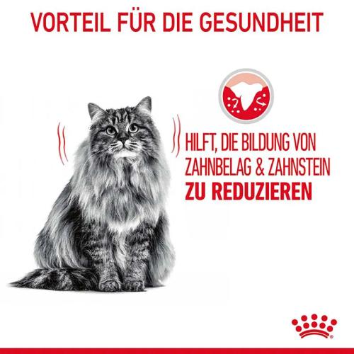 Royal Canin Dental Care Trockenfutter für Katzen 1,5 kg