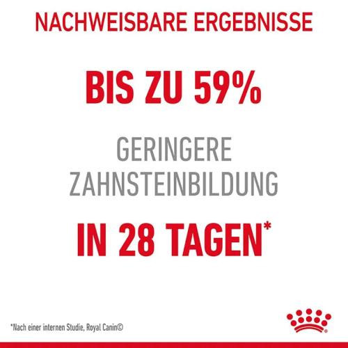 Royal Canin Dental Care Trockenfutter für Katzen 1,5 kg