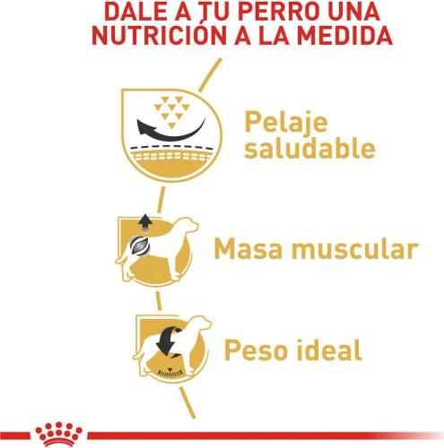 Royal Canin Pug Adult Trockenfutter für Möpse 1,5 kg