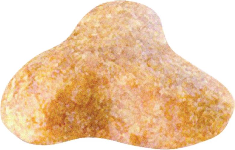 Royal Canin Pug Adult Trockenfutter für Möpse 1,5 kg