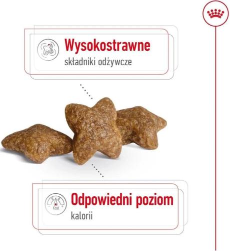 Royal Canin Mini Adult Trockenfutter für Hunde 0,8 kg