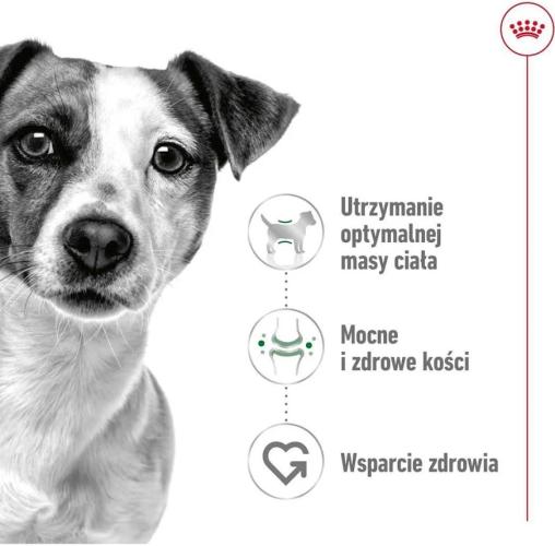 Royal Canin Mini Adult Trockenfutter für Hunde 0,8 kg