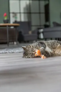Plüschdrache mit Katzenminze für Katzen – 20 cm, diverse -TRIXIE