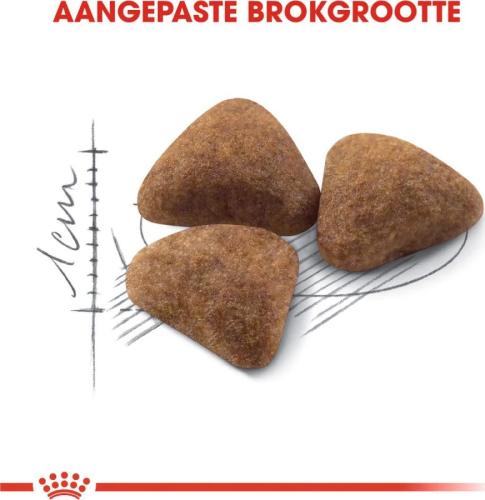 Royal Canin Indoor 27 Trockenfutter für Katzen 0,4 kg