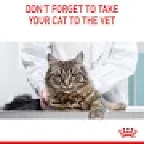 Royal Canin Hairball Care Trockenfutter für Katzen 0,4 kg
