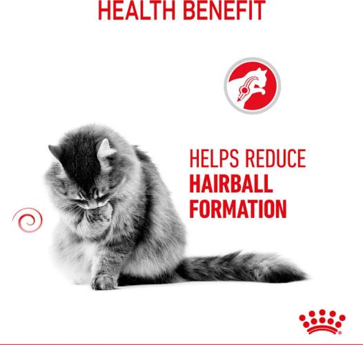 Royal Canin Hairball Care Trockenfutter für Katzen 0,4 kg