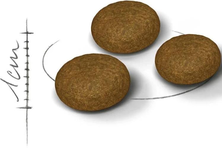 Royal Canin Fussy Exigent Katzentrockenfutter für wählerische Katzen 4 kg