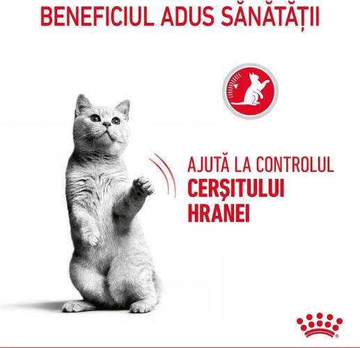 Royal Canin Appetite Control Care Katzentrockenfutter 3,5 kg