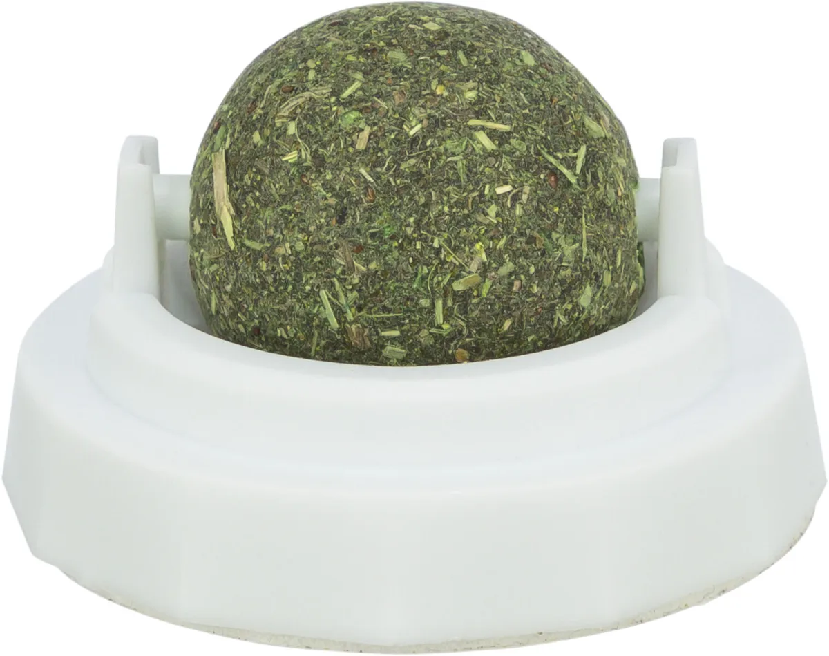 Katzenminze Ball mit Halterung, ø 5cm