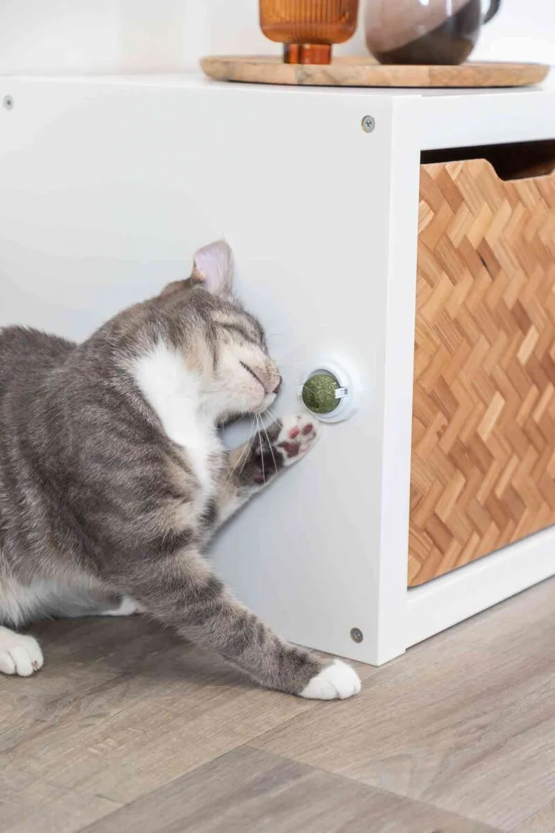 Katzenminze Ball mit Halterung, ø 5cm