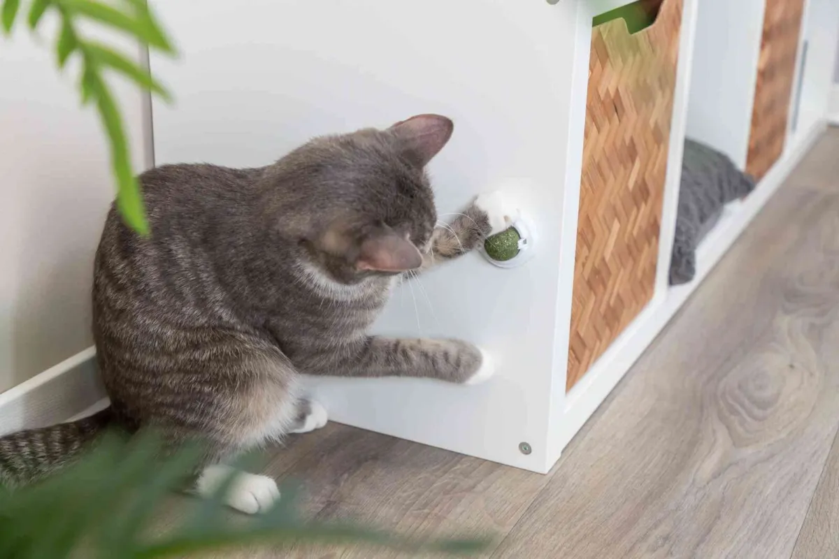 Katzenminze Ball mit Halterung, ø 5cm