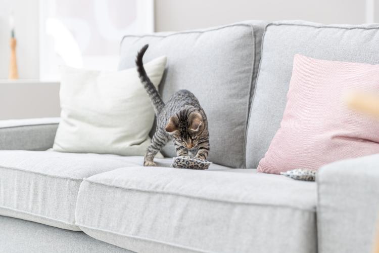 Kissen, Baumwolle, Baldrian, 7×9cm TRIXIE