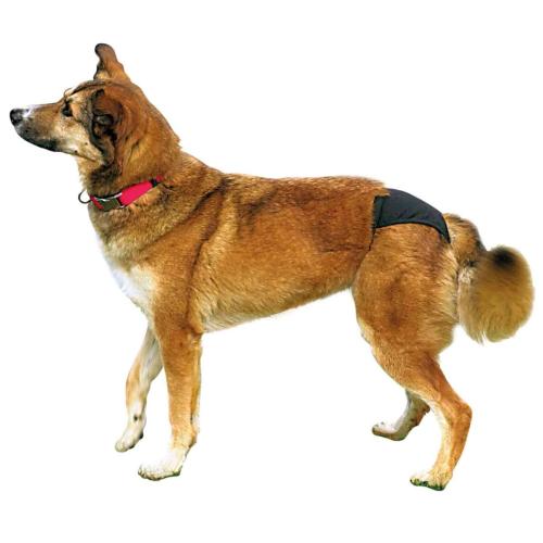 Schutzhöschen de Luxe, schwarz M: 40-49cm TRIXIE