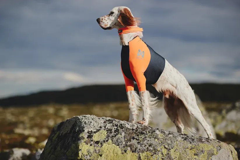 Non-stop dogwear Protector t-shirt L