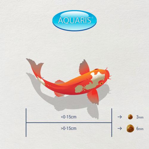 KI-JA-KO Wheatgerm Koi Futter 3mm 500g Frühjahr Herbst